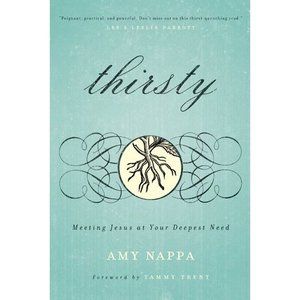 Thirsty: Meeting Jesus at Your Deepest Need (Paperback)
